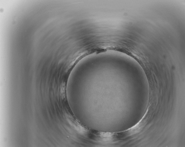 X0000088600144200706011212