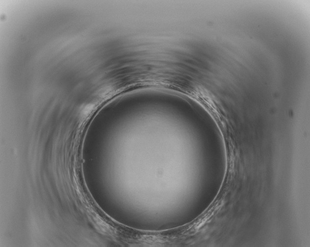 X0000088600145200706011211