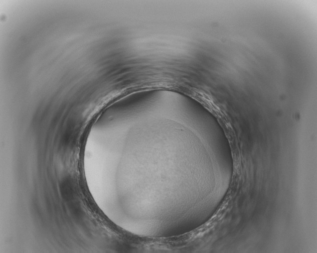 X0000088600146200706011211