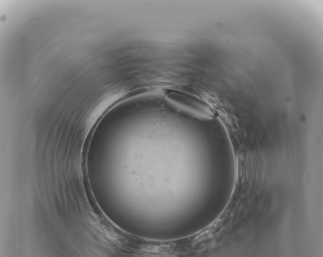 X0000088600147200706011211