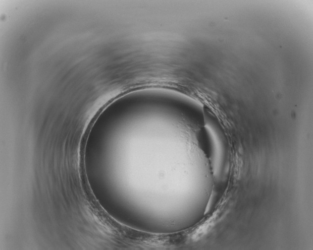 X0000088600148200706011211