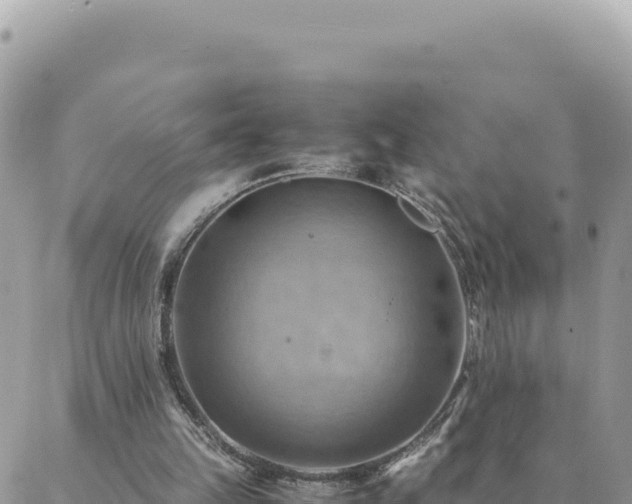 X0000088600149200706011211