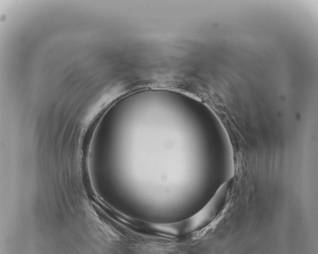 X0000088600150200706011211