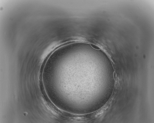 X0000088600151200706011211