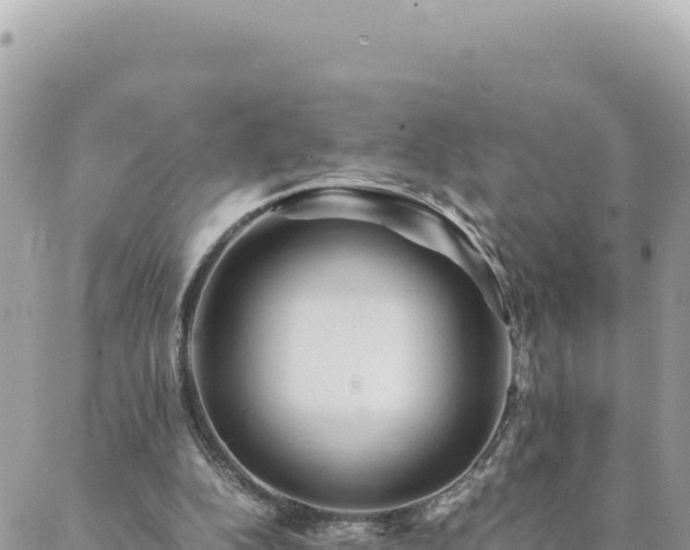 X0000088600152200706011211