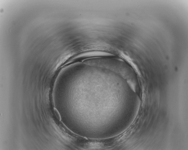 X0000088600154200706011211