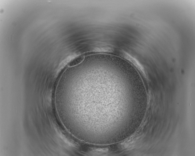 X0000088600155200706011211