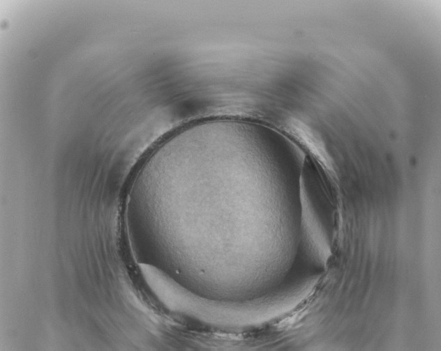 X0000088600156200706011211