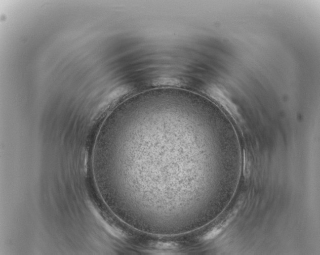 X0000088600157200706011211