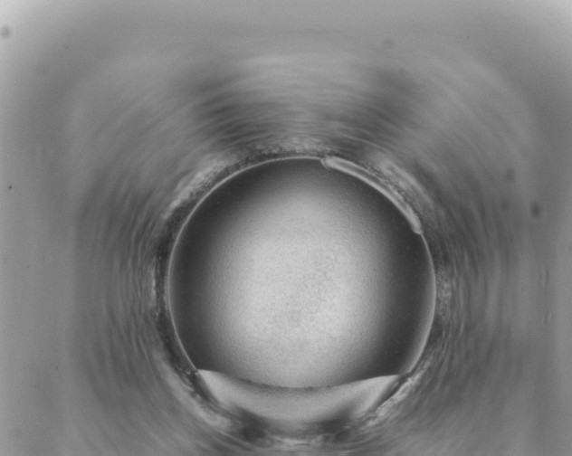 X0000088600158200706011211