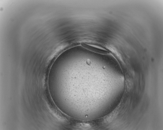 X0000088600159200706011211