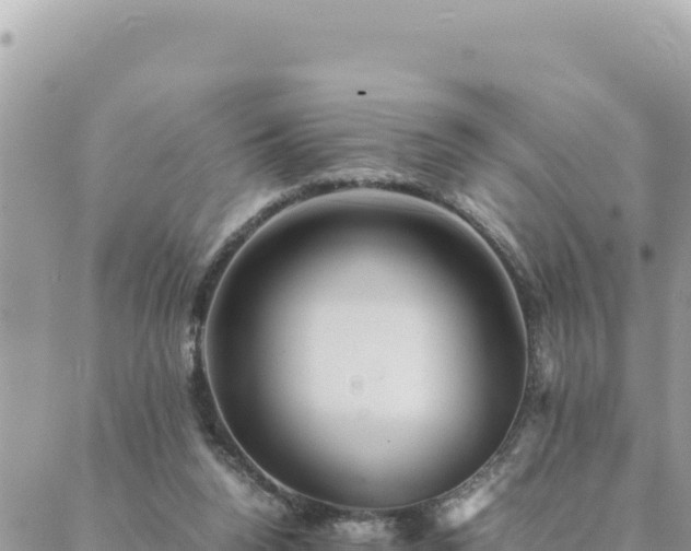 X0000088600160200706011211