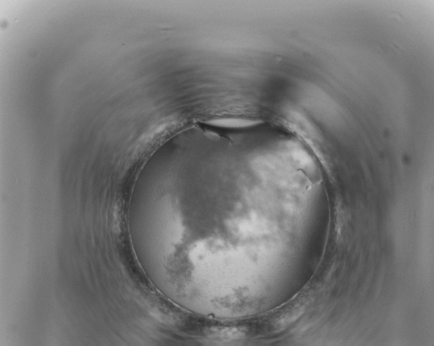 X0000088600161200706011211