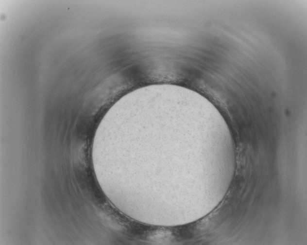 X0000088600162200706011211