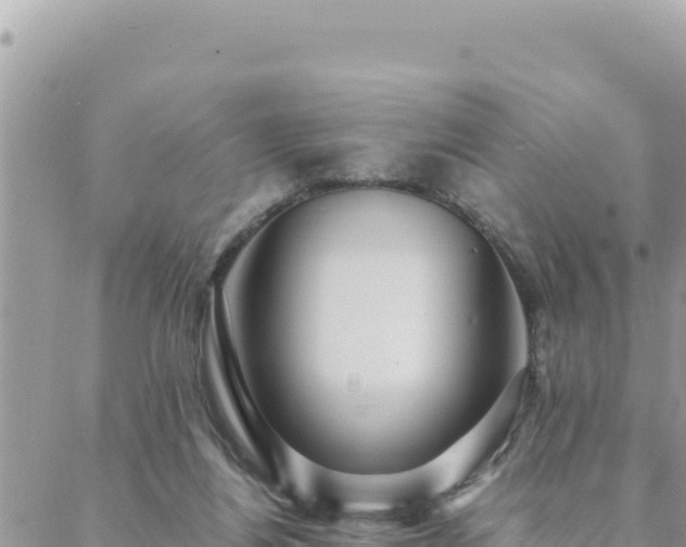 X0000088600164200706011211