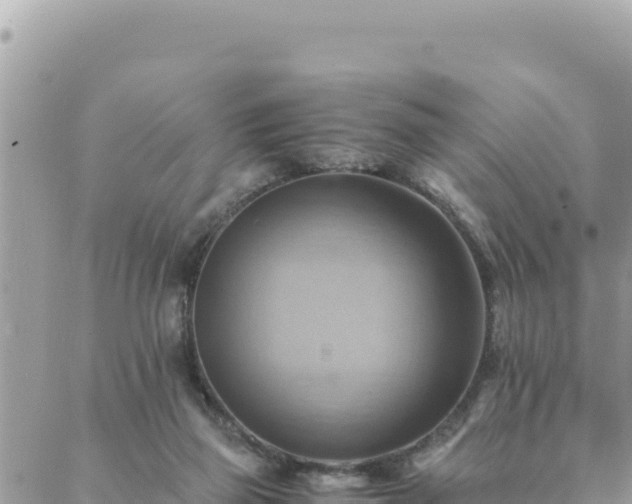 X0000088600165200706011211