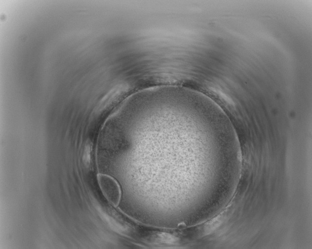 X0000088600166200706011211