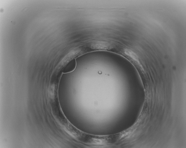 X0000088600167200706011211