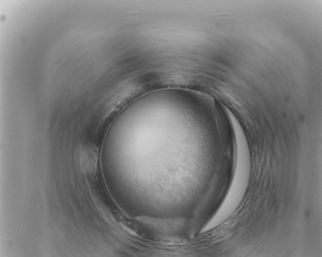 X0000088600168200706011211