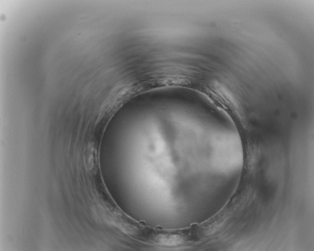 X0000088600169200706011211