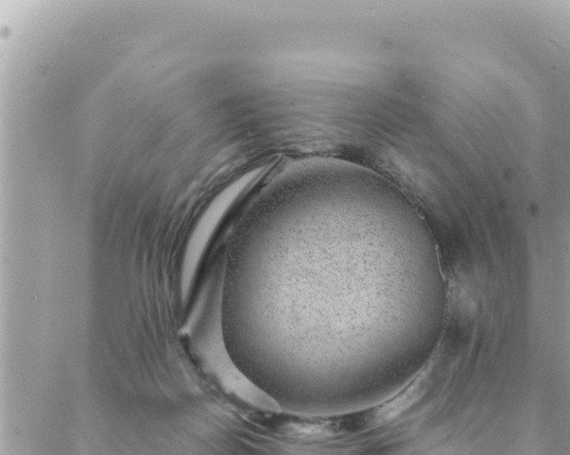 X0000088600170200706011211