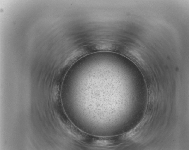 X0000088600171200706011211