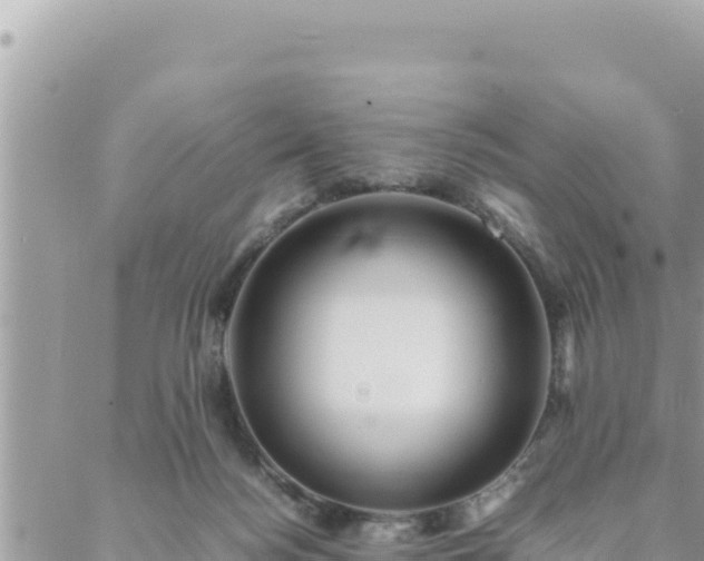 X0000088600172200706011211