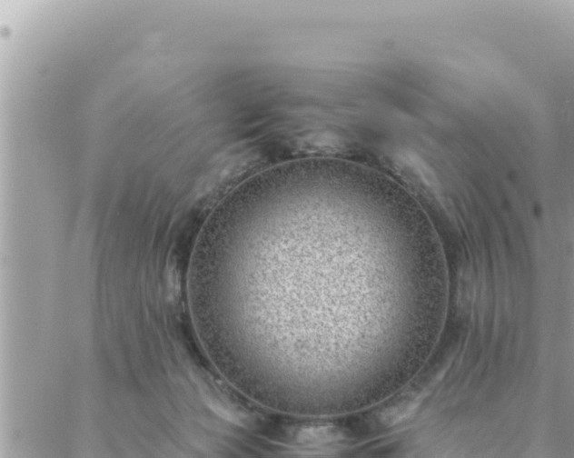 X0000088600173200706011211