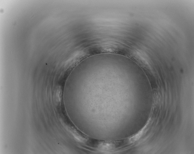 X0000088600174200706011211