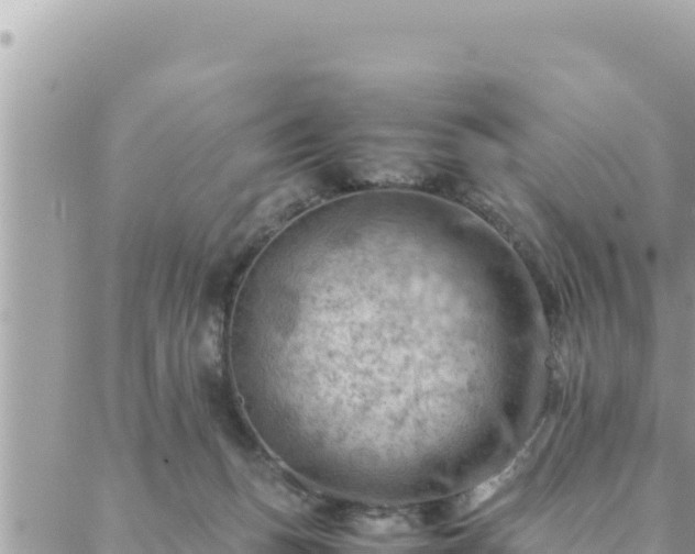 X0000088600175200706011211