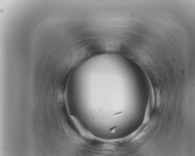 X0000088600176200706011211