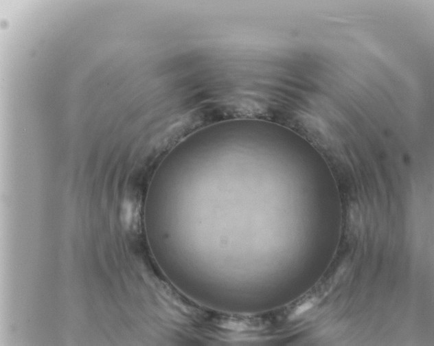 X0000088600177200706011211