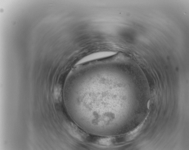 X0000088600178200706011212