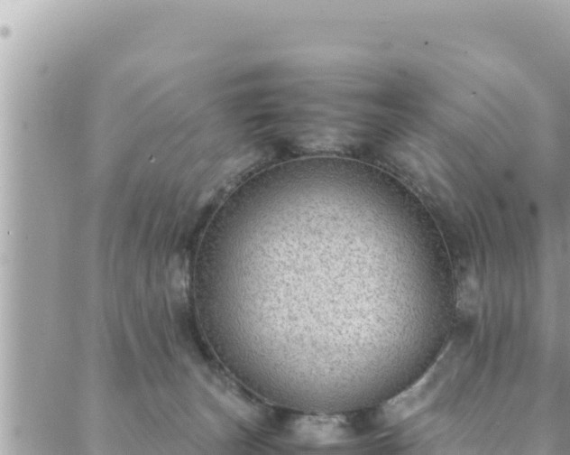 X0000088600179200706011212