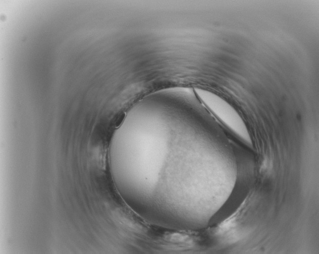 X0000088600180200706011212