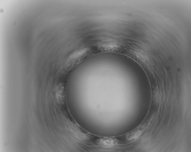 X0000088600181200706011212