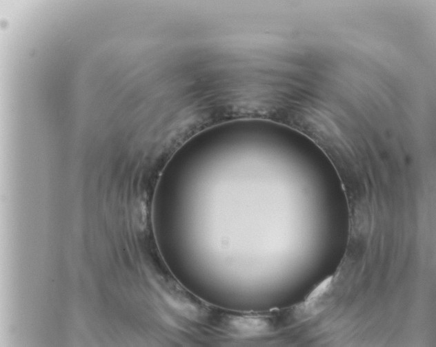 X0000088600183200706011212