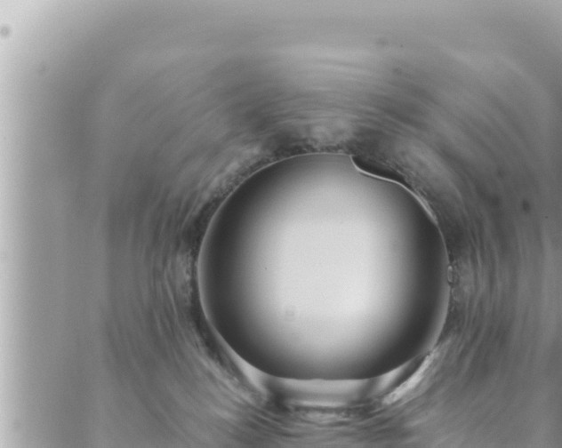 X0000088600184200706011212