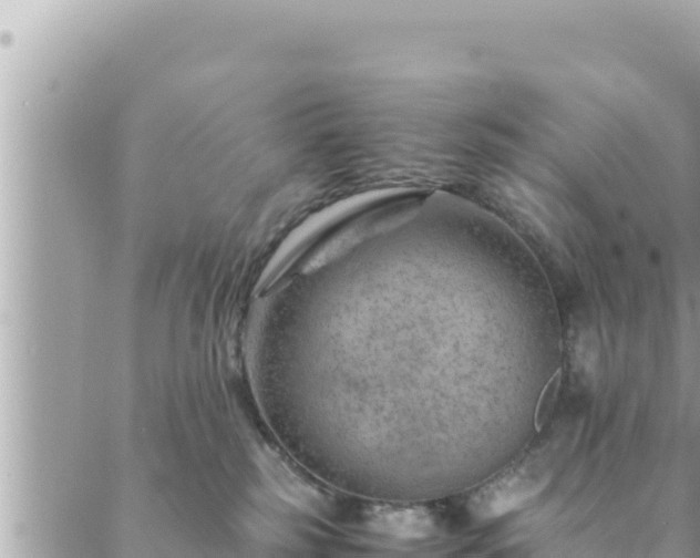 X0000088600185200706011212