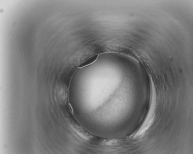 X0000088600186200706011212