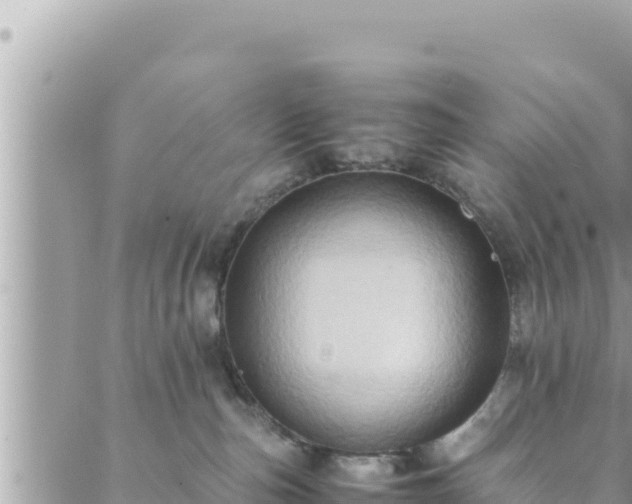 X0000088600187200706011212