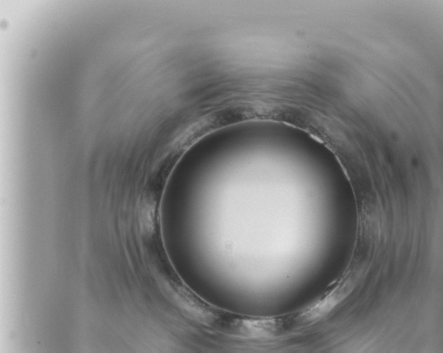 X0000088600188200706011212