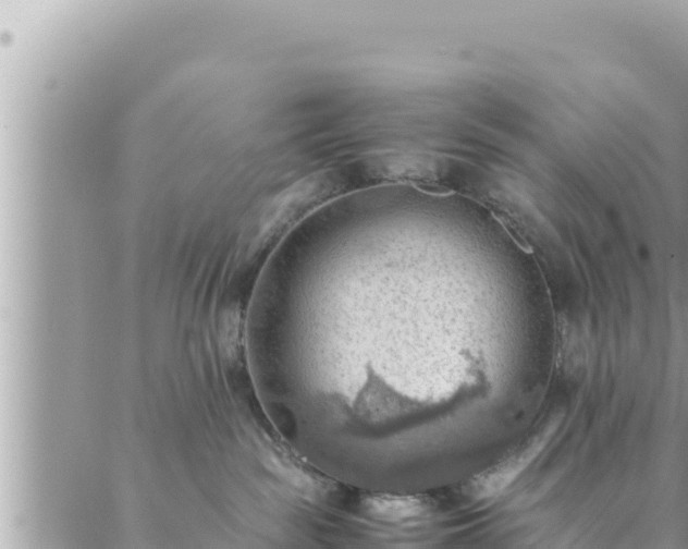 X0000088600189200706011212