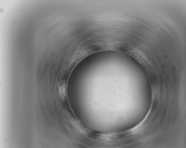 X0000088600190200706011212