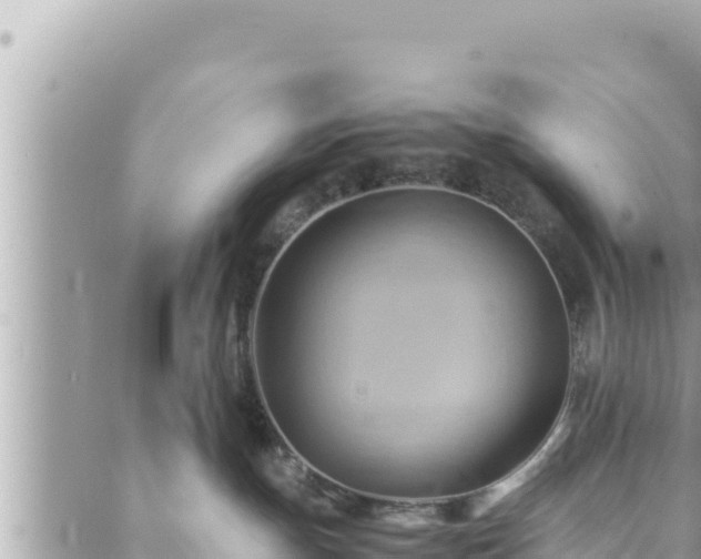 X0000088600191200706011212