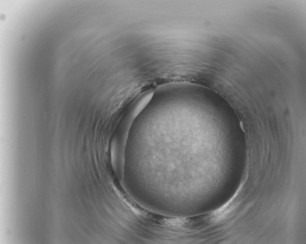 X0000088600192200706011212