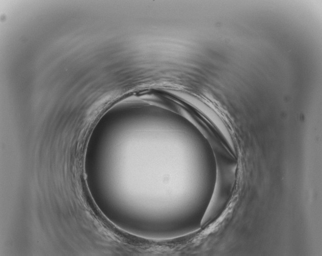 X0000088600193200706011211