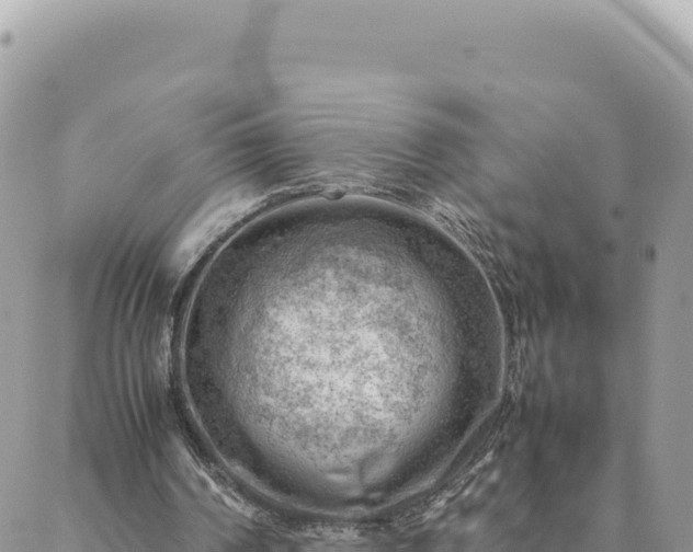 X0000088600194200706011211