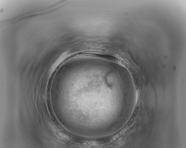 X0000088600195200706011211