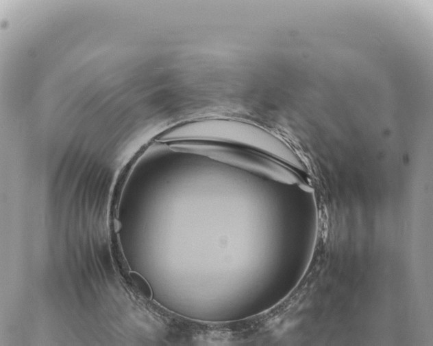 X0000088600196200706011211